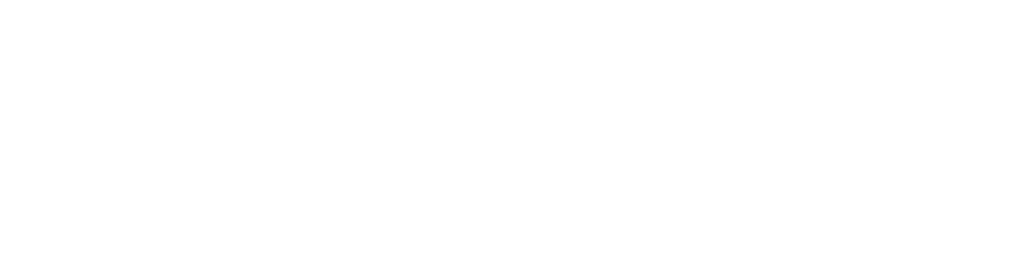 Fortis logo – beli, horizontalni, sigurnosna i sobna vrata